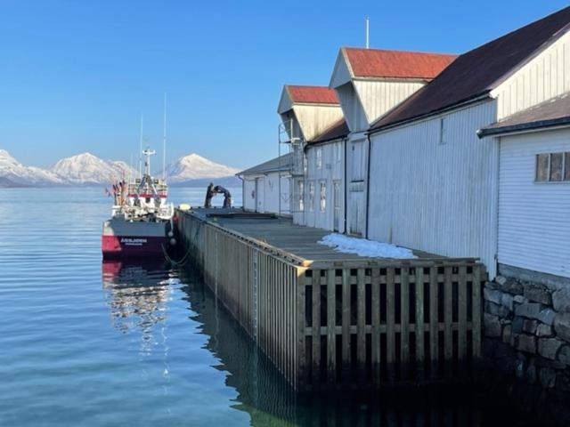 1. Etg I Dampskipsbrygga, Lodingen Havn エクステリア 写真